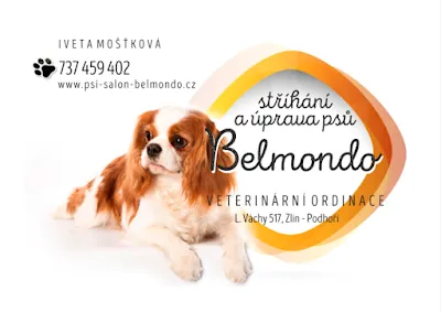 Psí salon Belmondo