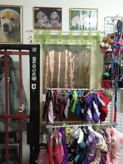 Psí salon Brno