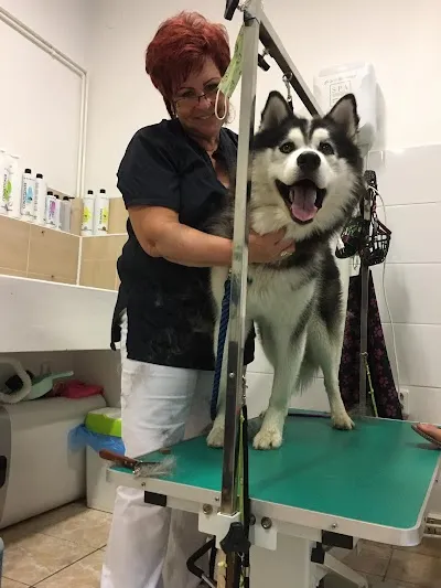 Psí salon Chlupatá tlapka