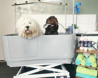 Psí salon Doggies