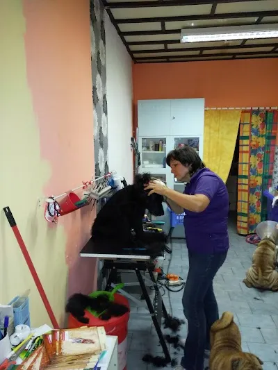 Psí salon Eva, prodejna, 3+ pro psy s.r.o.