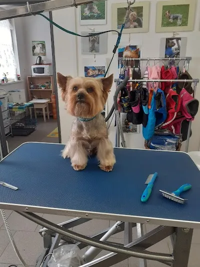 Psí salon HAF HAF Olomouc