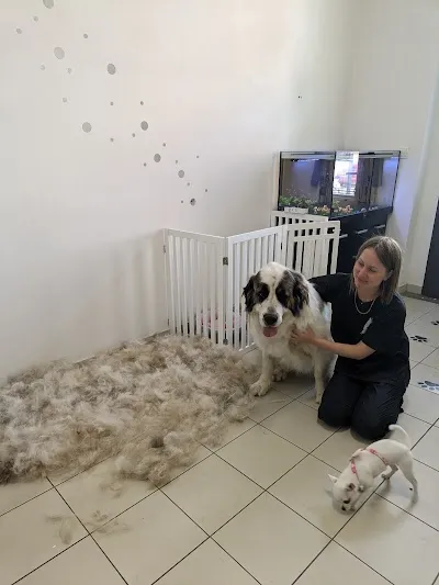 Psí salon Pípi Pet Grooming (stříhání psů a koček)