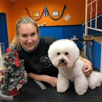 Psí salon ZooStyle - stříhání psů Praha